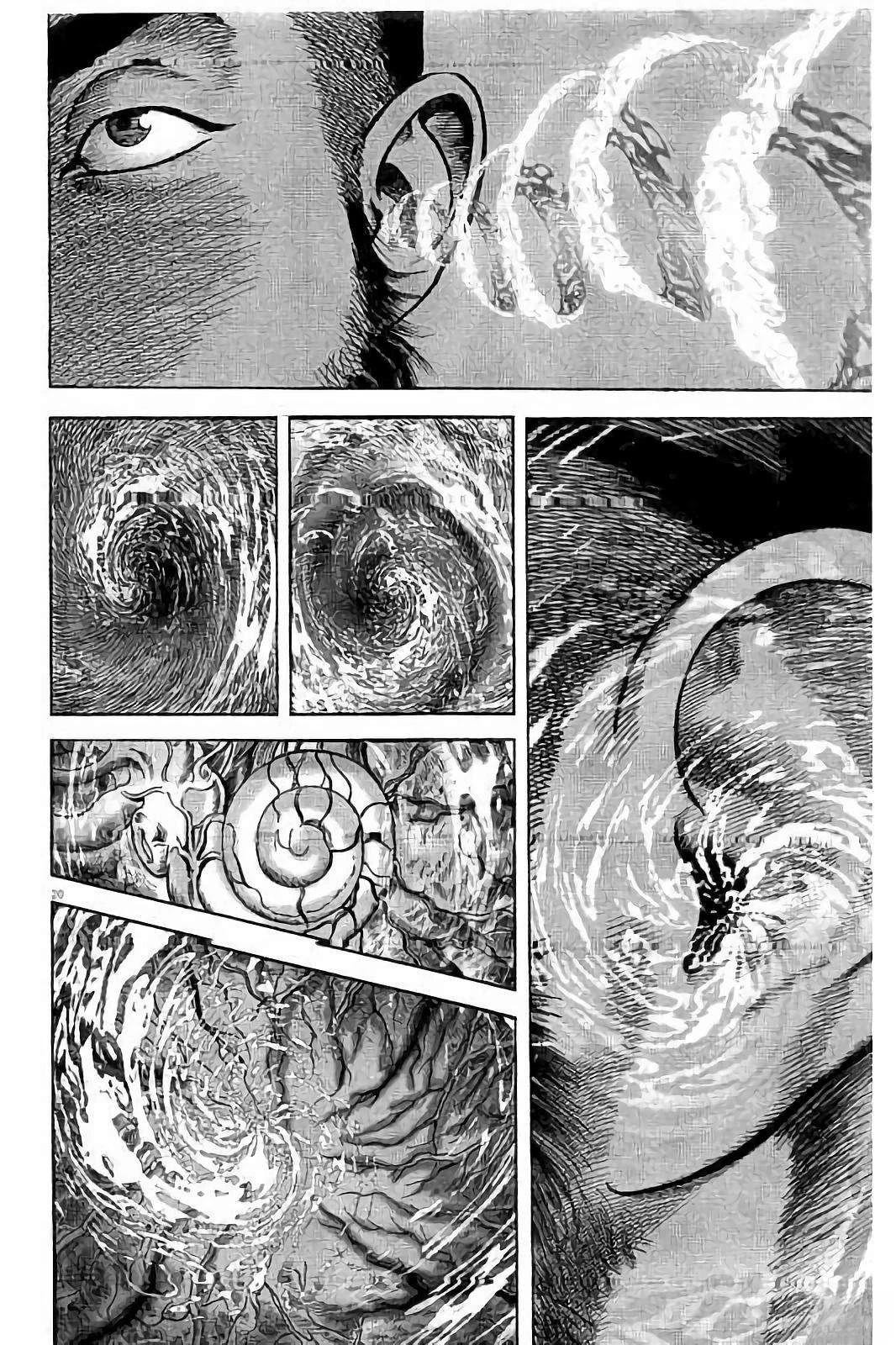 第204页