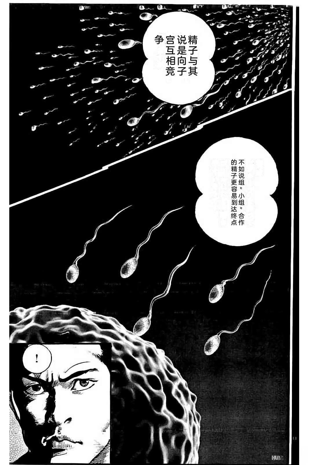 第223页