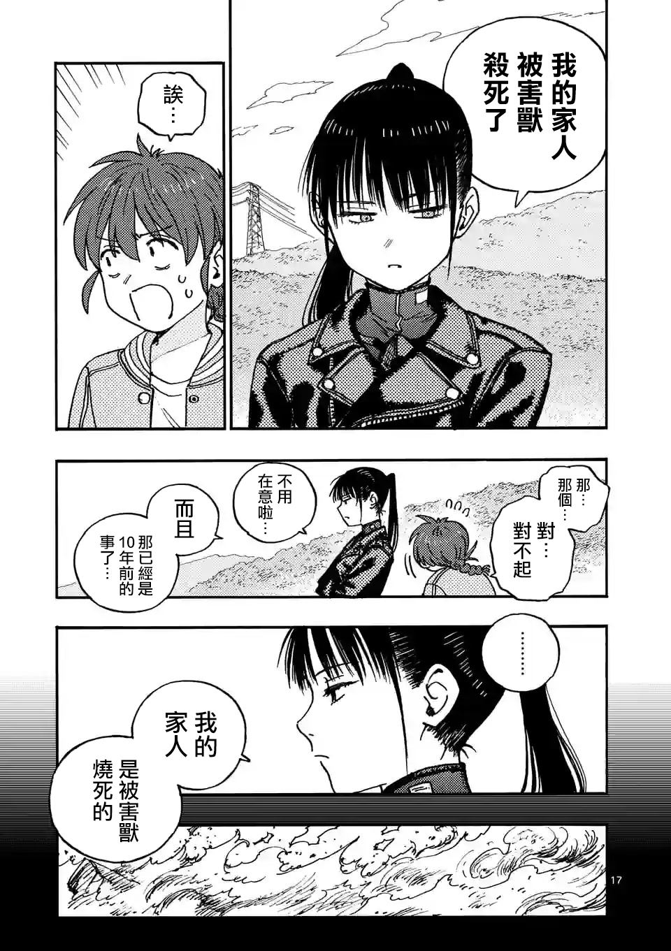 第17页