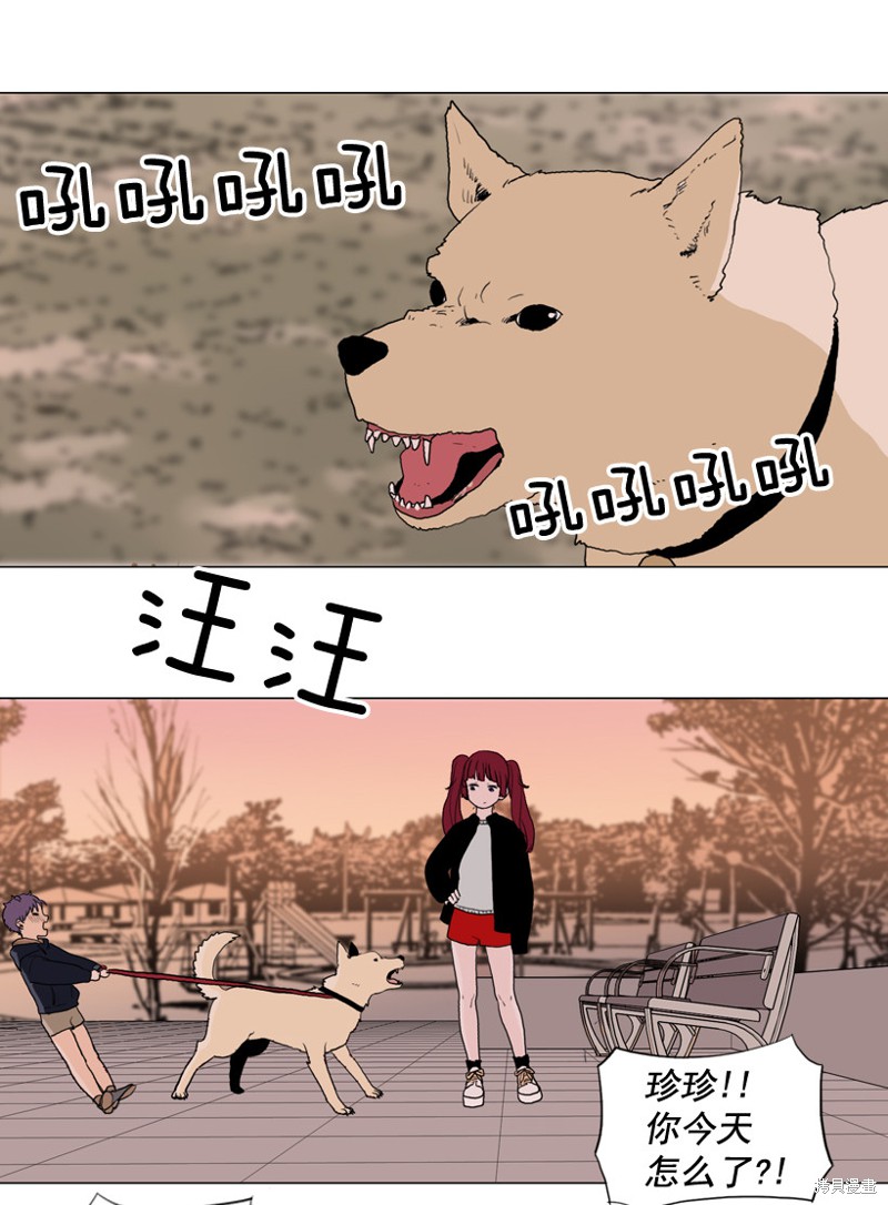 第41页